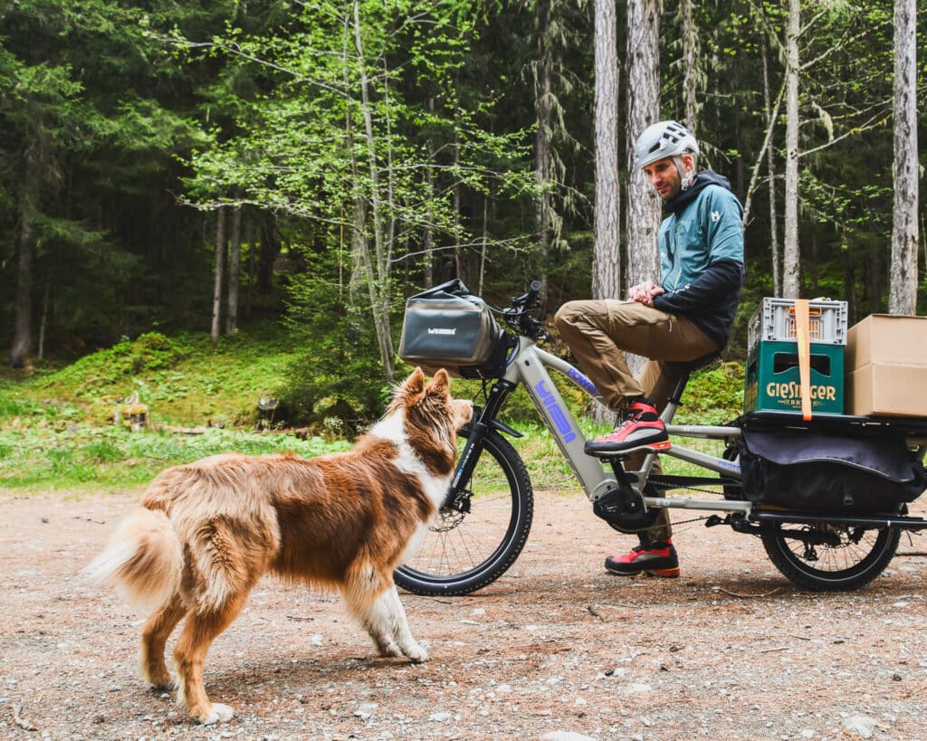 En person med hjälm sitter på en eldriven lastcykel av modellen Spicy Curry x POW EZ Family Edition (2026), lastad med lådor, i en skog, medan en brun och vit hund närmar sig på grusvägen.